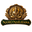Logo di Namo Narayana